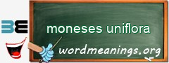 WordMeaning blackboard for moneses uniflora